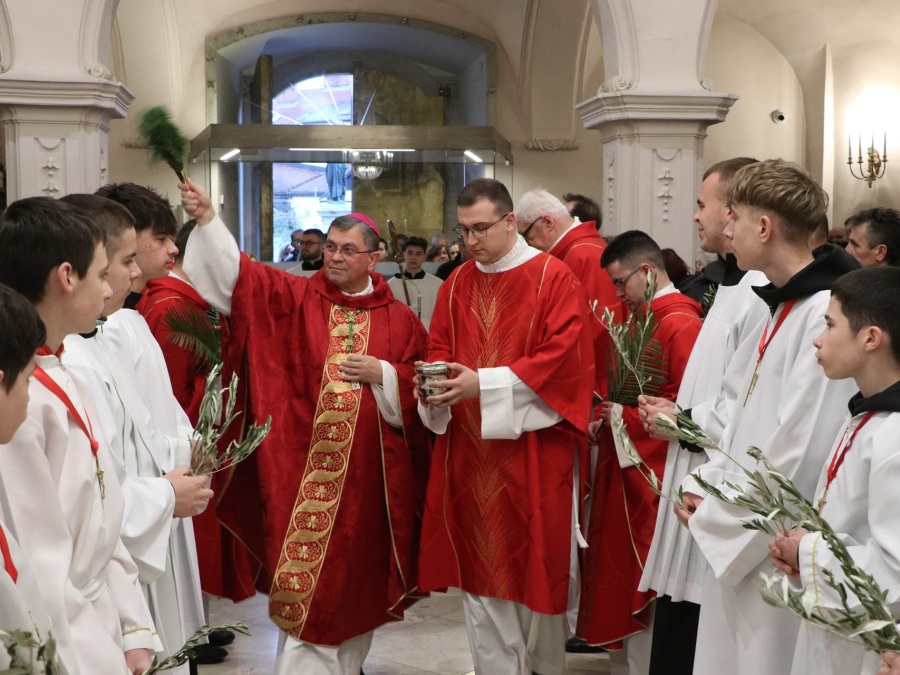 Cvjetnica u požeškoj Katedrali