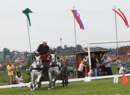 zaprege-pl-3