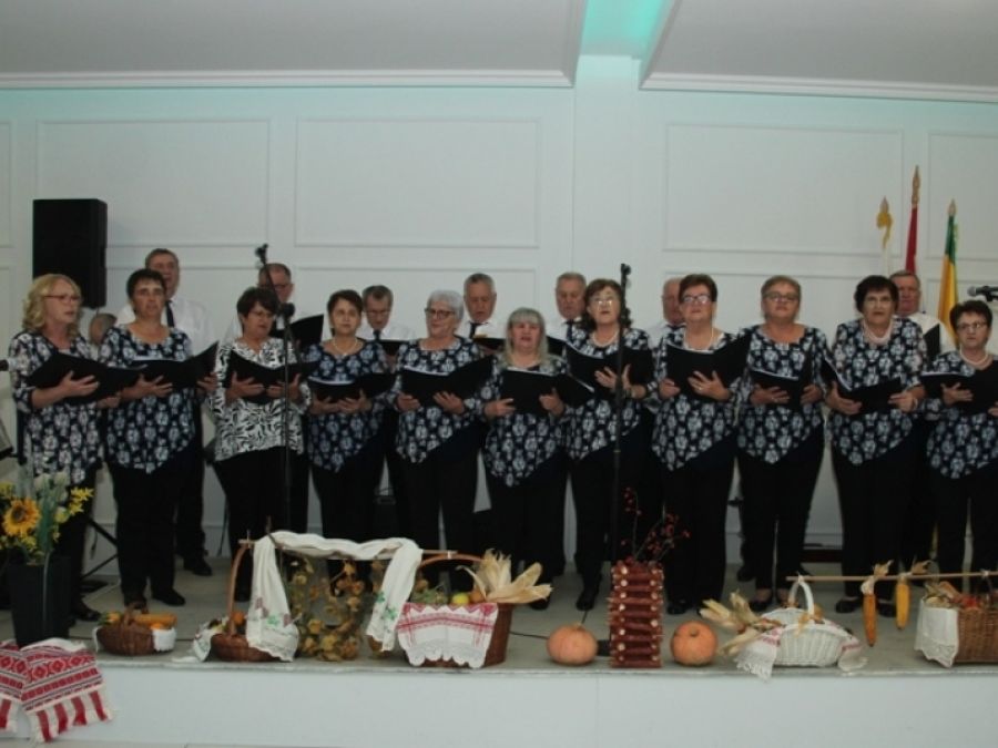 Umirovljenici Požeško-slavonske županije pokazali kreativnost na tradicionalnim pjevačkim susretima