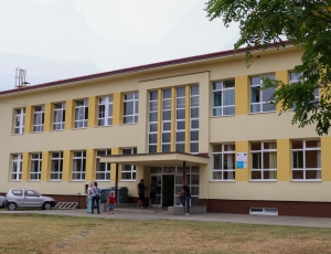 PSZ017