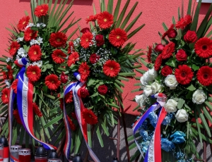 PSŽ029