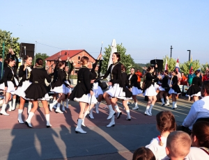 PSŽ031