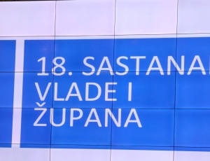 PSZ0019