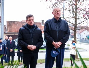 dangradapleternice0006