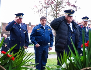 dangradapleternice0008