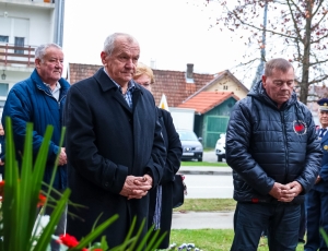 dangradapleternice0010