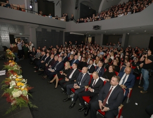 suncokret-ruralnog-162