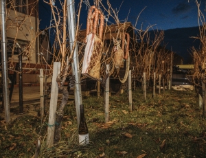 615730269_1335112791969094_7836333080208823543_n