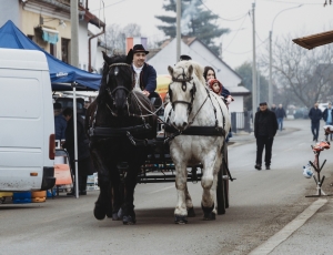 621814910_1340871824726524_8299272253971849458_n