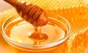 Održan sastanak na temu zaštite izvornosti slavonskog meda